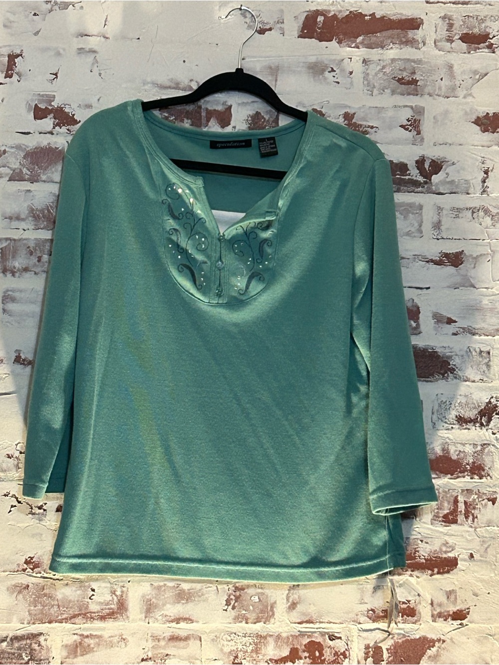 Women’s Mint Green Embellished Scoop Neck Long Sleeve Top